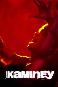 Kaminey (2009) Hindi HD