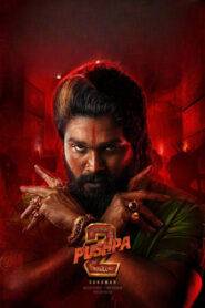 Pushpa 2 – The Rule (2024) Hindi Dubbed HD